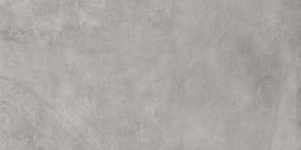 Керамогранит ГР253 Койва серый1200х600 матовый