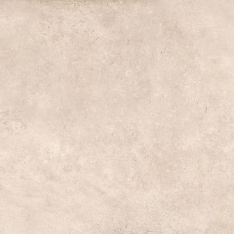 Керамогранит ГР251 Койва элегантный 600х600 матовый