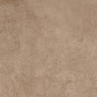 Керамогранит ГР254 Койва коричневый 600х600 матовый